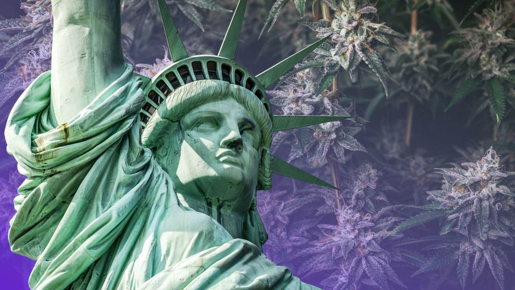 states where weed is legal